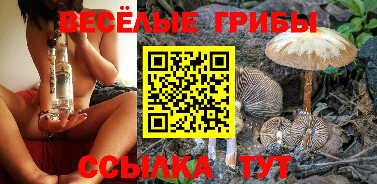 ГАШ  Альфа ПВП СК кристаллы  Мефедрон   Кокаин  Артём  Вход с VPN  Гашиш  Амфетамин кристаллы 