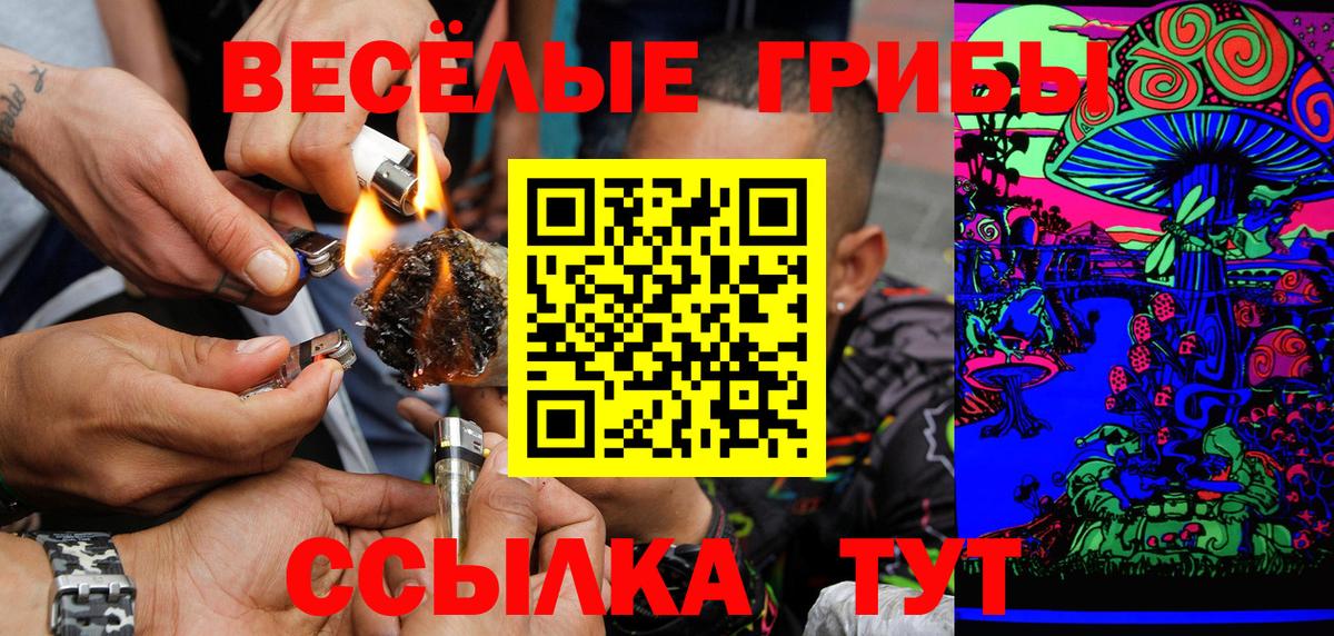 Галлюциногенные грибы Cubensis  Вход с VPN  Артём 