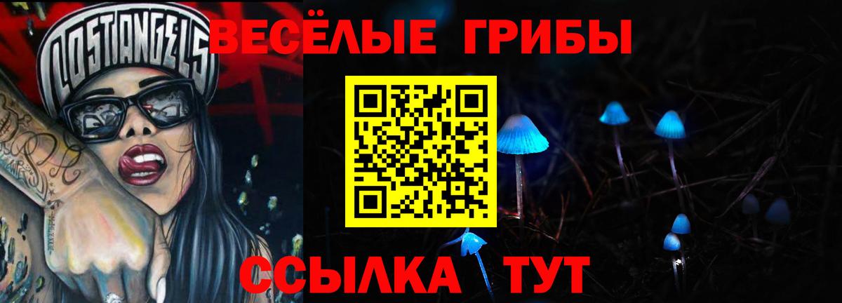 Псилоцибиновые грибы GOLDEN TEACHER  Артём  Псилоцибиновые грибы Psilocybe 